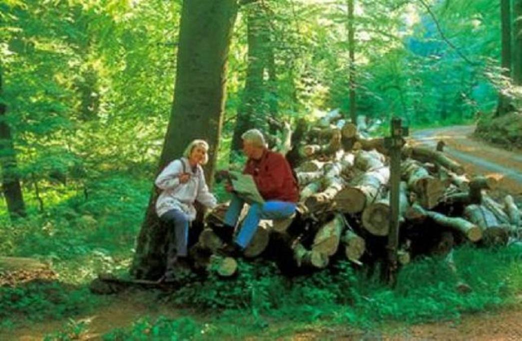 Typ Fuchsbau Ξενοδοχείο Schmallenberg Εξωτερικό φωτογραφία